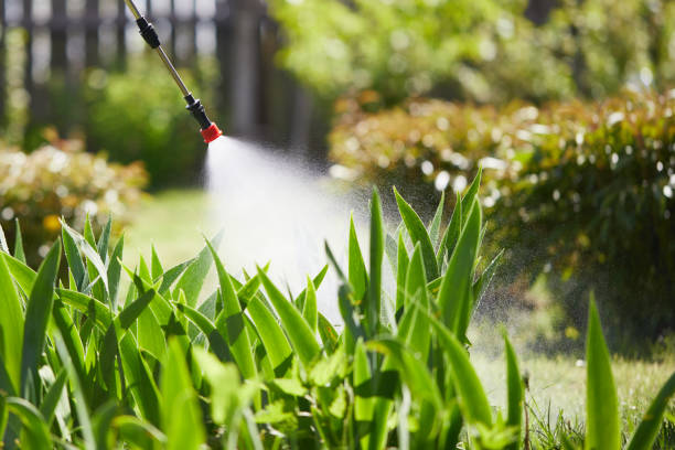 Tamper-Resistant Bait Stations for Rodents in Yale