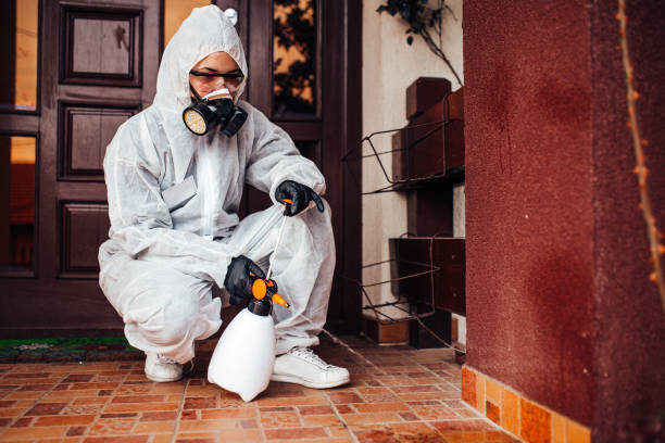 Attic and Crawl Space Rodent Treatment in Yale